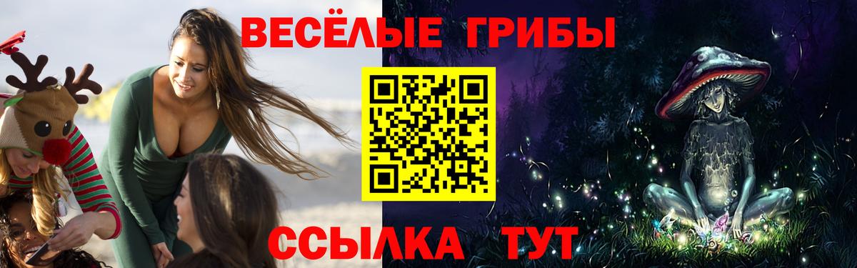 Пугачёв  Псилоцибиновые грибы Cubensis  Вход с VPN  Псилоцибиновые грибы Psilocybe 